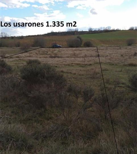 Photo 2 of Land for sale in Street Pedro Fernandez Valladares, 0000, Gradefes, León