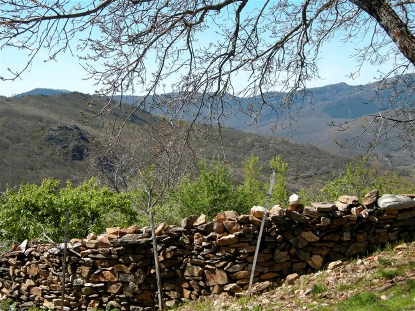 Außenansicht von Grundstücke zum Verkauf in El Cardoso de la Sierra