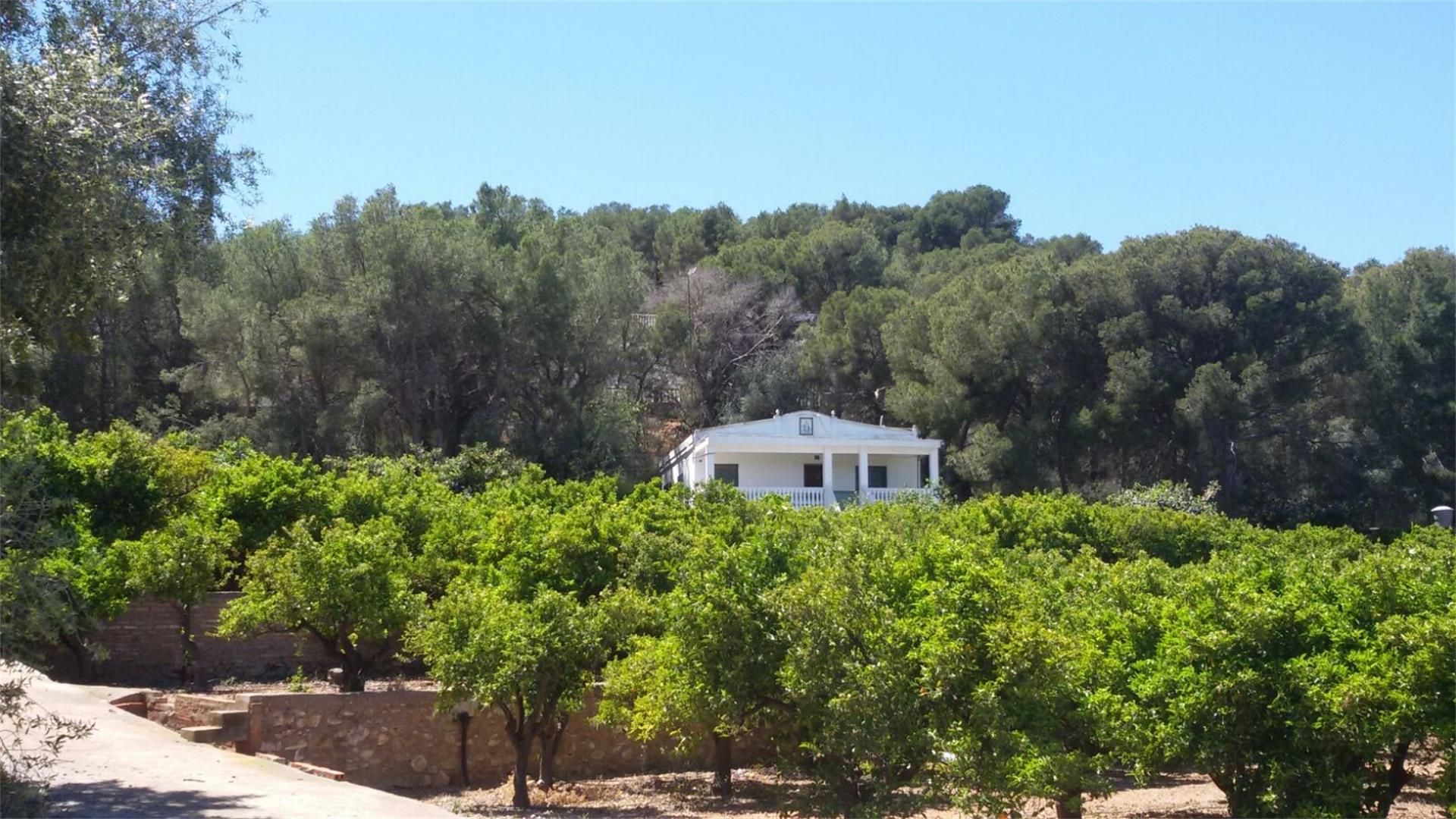 Casa o chalet en venta en Centro - El Castillo, Valencia | fotocasa