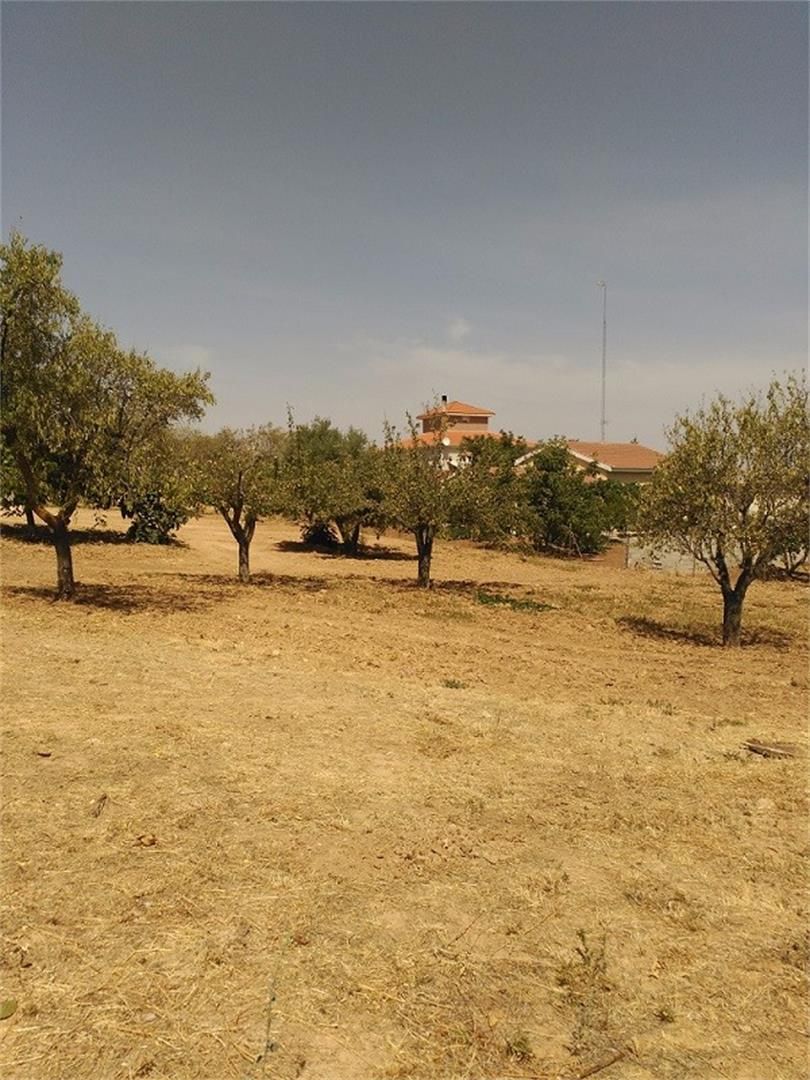 Urbanitzable en venda en Camarma de Esteruelas