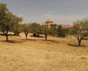 Constructible Land for sale in Camarma de Esteruelas