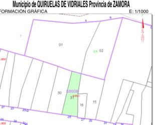 Exterior view of Land for sale in Quiruelas de Vidriales