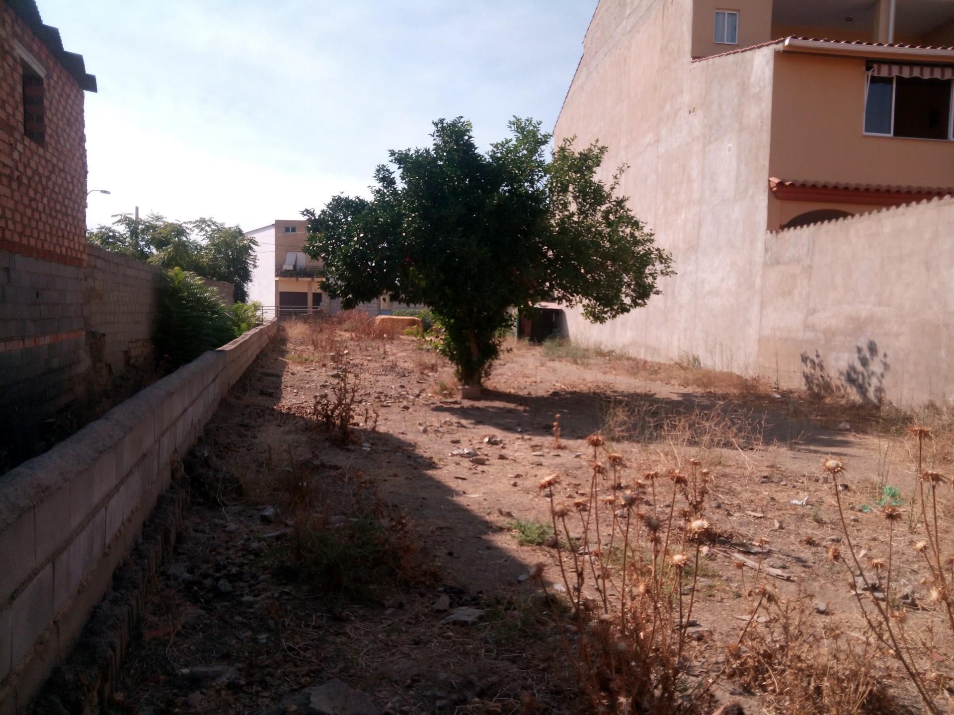 Constructible Land for sale in La Coronada