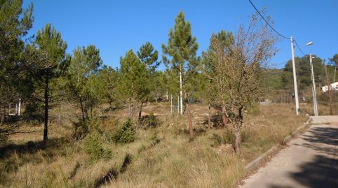 Terreny en venda a Carrer Num 1, 153, Pontons, Barcelona - imatge 2 Foto 2 de Terreny en venda a Carrer Num 1, 153, Pontons, Barcelona