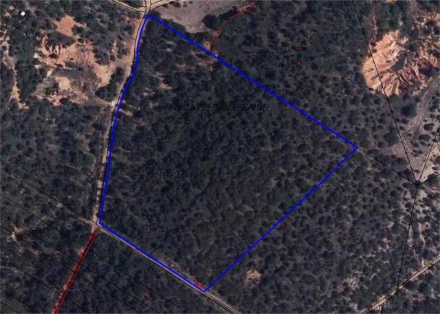 Terreno en Venta en Fresno de Cantespino