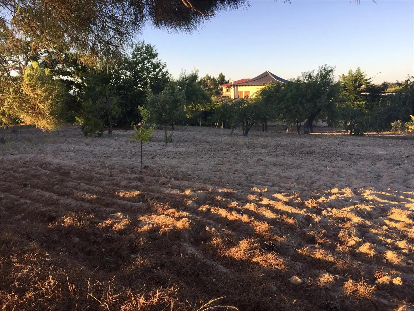 Constructible Land for sale in Aldeadávila de la Ribera Constructible Land for sale in Aldeadávila de la Ribera