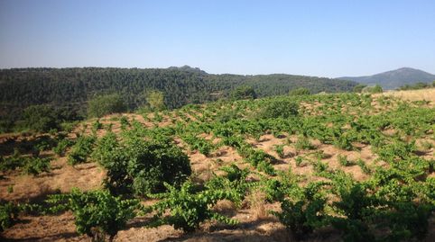 Foto 2 von Grundstücke zum Verkauf in San Martín de Valdeiglesias, Madrid