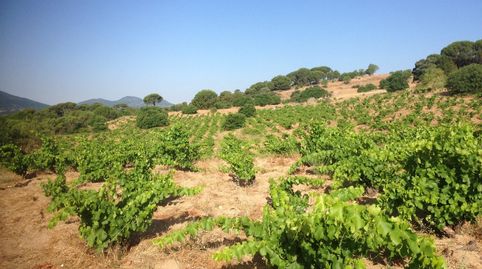 Foto 3 von Grundstücke zum Verkauf in San Martín de Valdeiglesias, Madrid