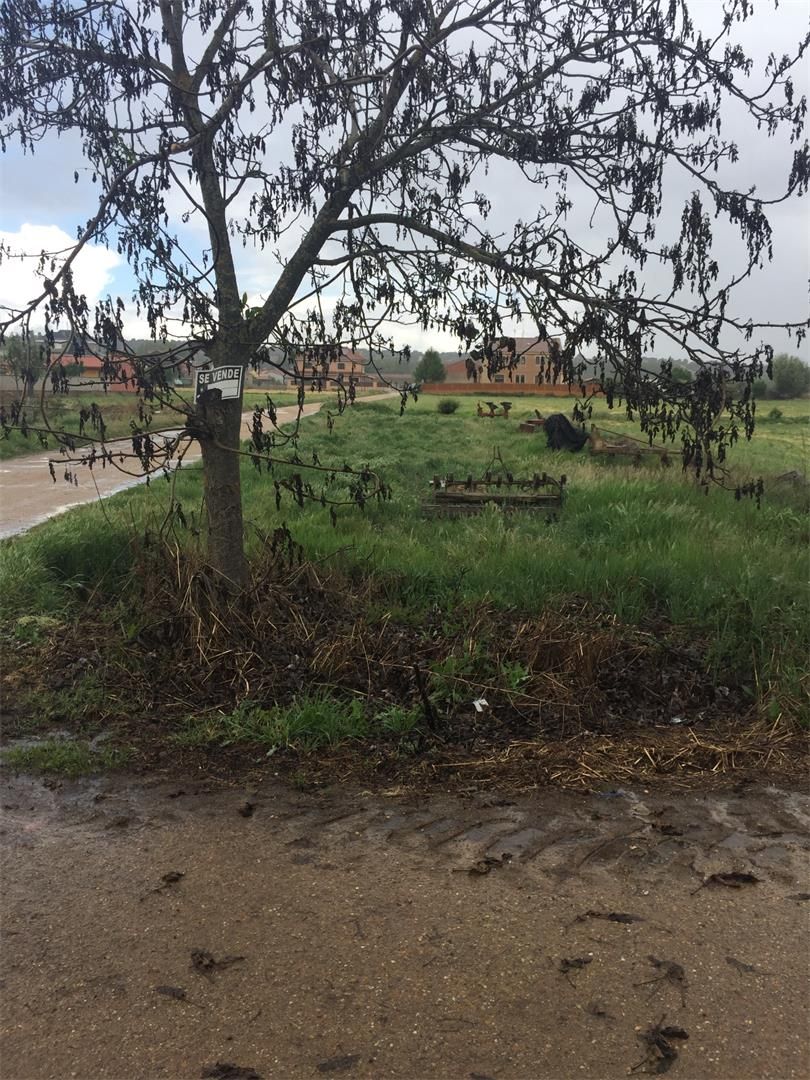 Land for sale in Camarzana de Tera