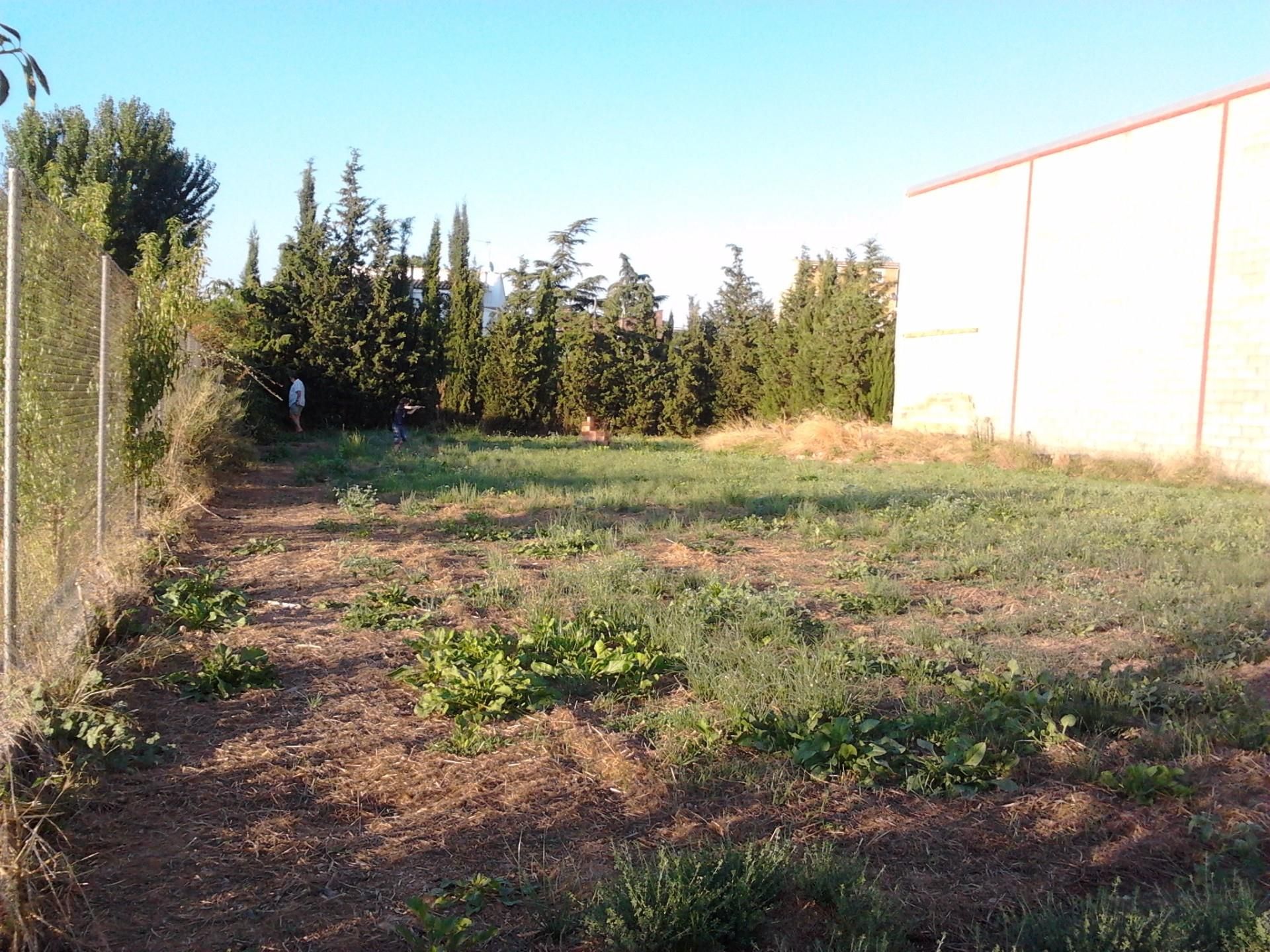 Terreno en venta en Alcoletge