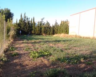 Land for sale in Alcoletge