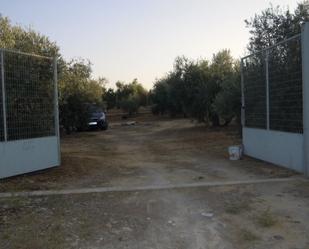 Land for sale in Montilla