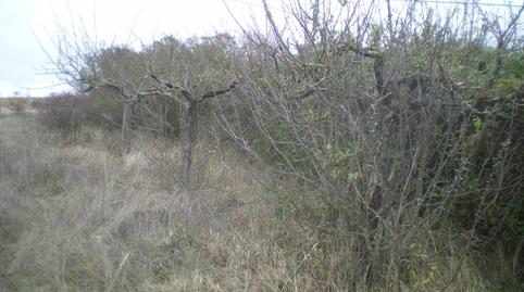 Urbanitzable en venda a Calle Manuel Pellitero, 41t, Chozas de Abajo, León - imatge 3 Foto 3 de Urbanitzable en venda a Calle Manuel Pellitero, 41t, Chozas de Abajo, León