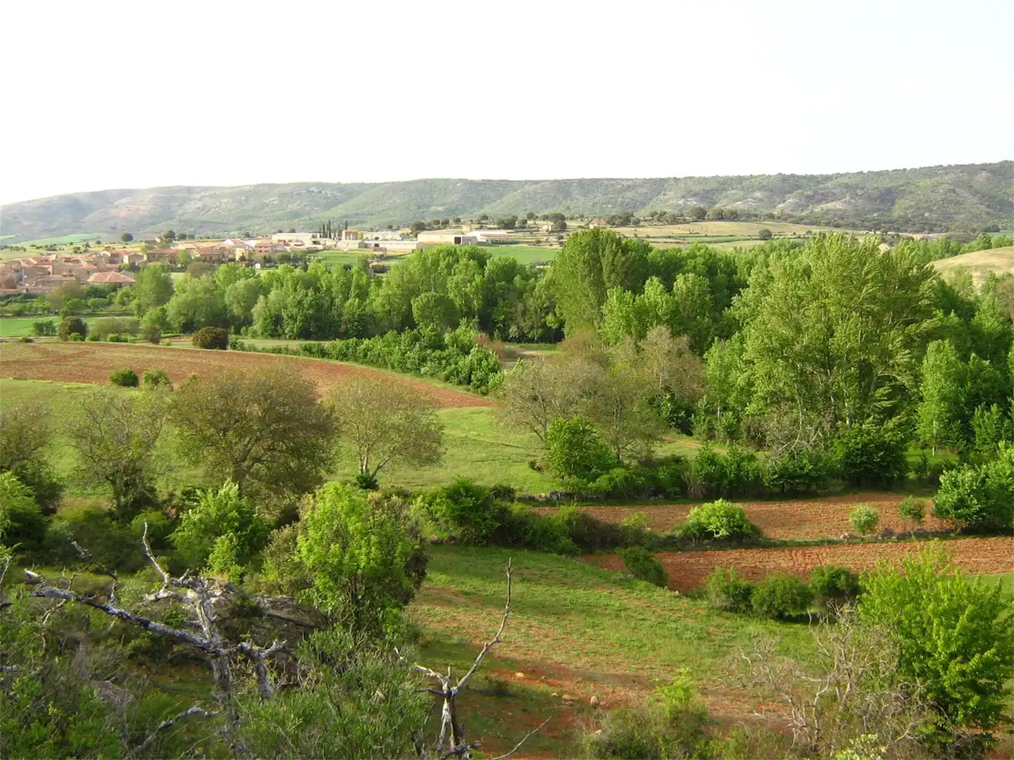 Finca rústica en venta en Calle Nueva, 33, Sienes Finca rústica en venta en Sienes con Calefacción, Jardín privado y Parquet