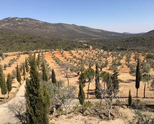 Garten von Country house zum verkauf in Madridejos mit Klimaanlage, Terrasse und Balkon