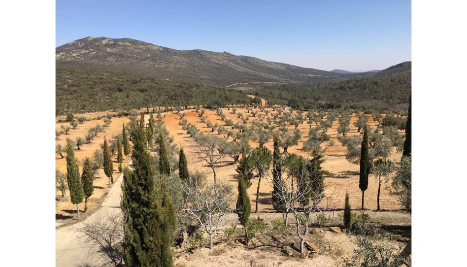 Finca rústica en venda a Calle Paz, 3, Madridejos, Toledo - imatge 1 Foto 1 de Finca rústica en venda a Calle Paz, 3, Madridejos, Toledo