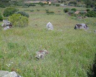 Exterior view of Land for sale in Paredes de Escalona