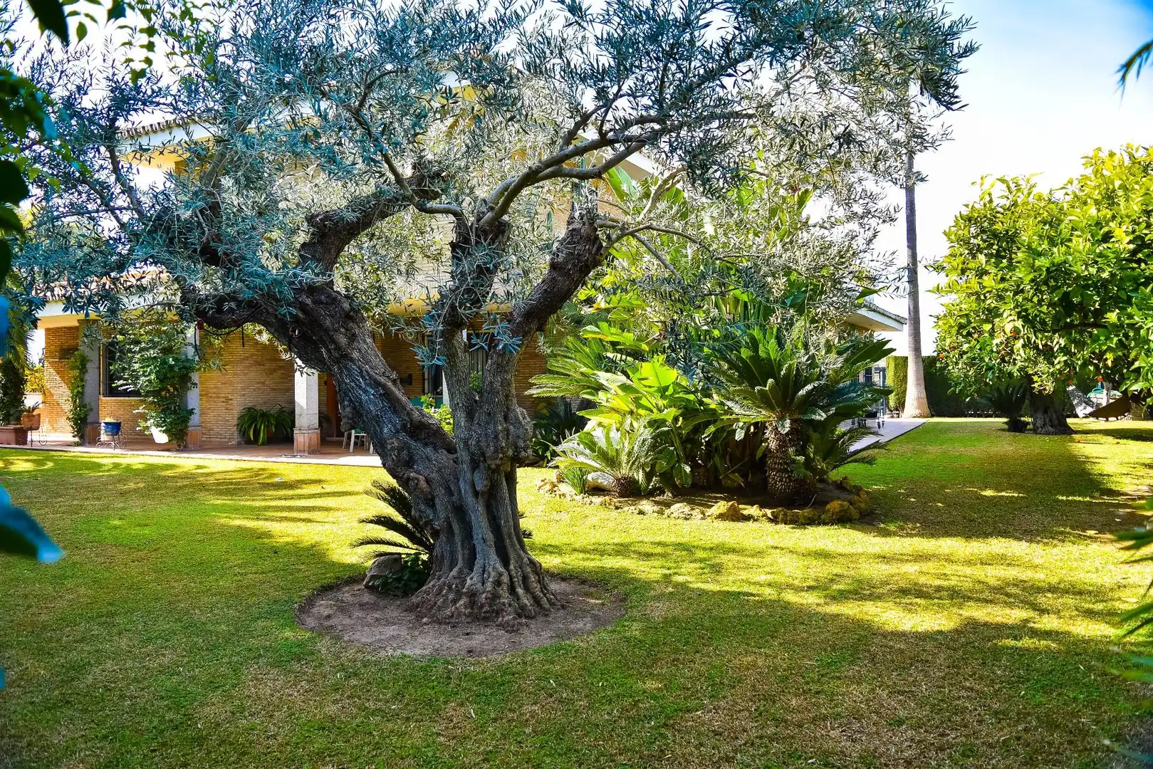 Pis en venda a Urbanización Colina Blanca, 1, Colina Blanca - Las Canteras Jardí de Pis en venda en Camas amb Aire condicionat, Calefacció i Jardí privat