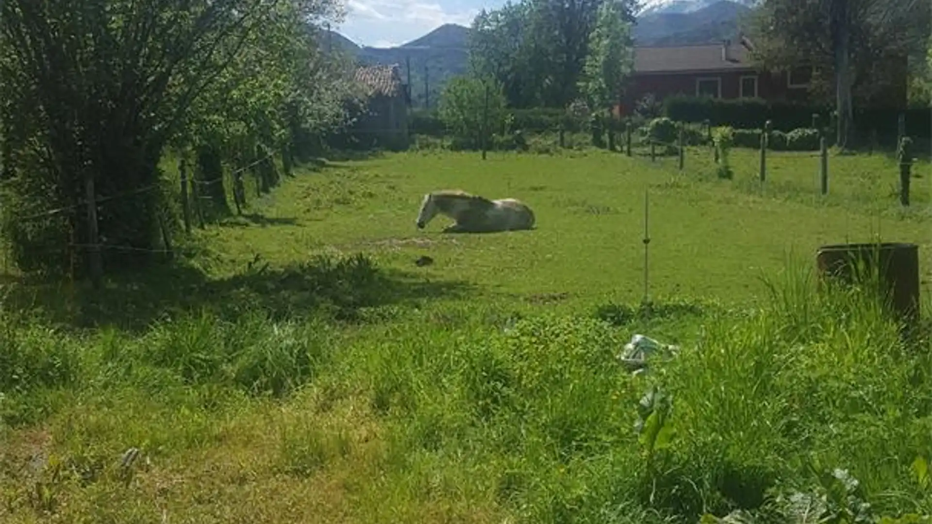 Terreno en venta en Oviedo 