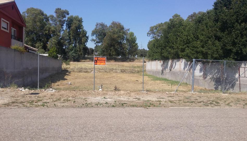 Foto 1 de Terreno en venta en Urbanización Prado del Arca, 14, Pepino, Toledo