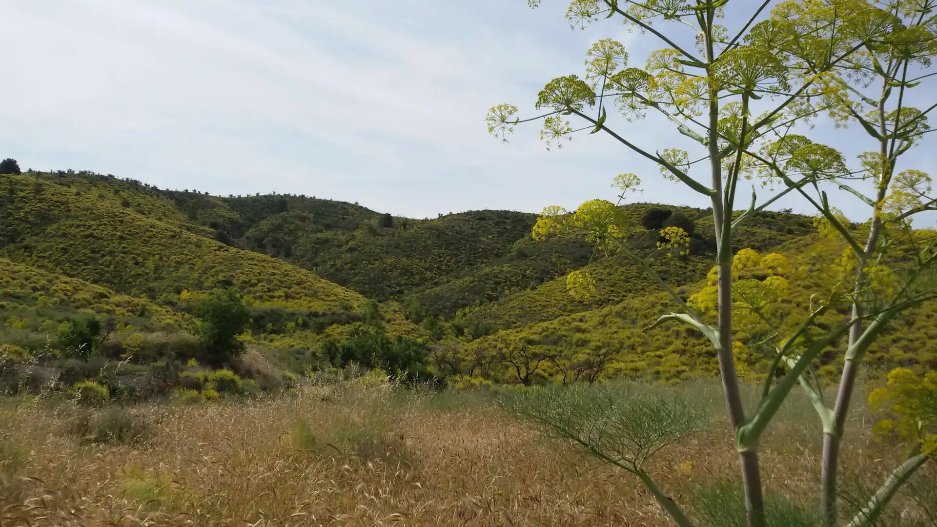Bebaubares Gelände zum Verkauf in Carrasquilla Außenansicht von Bebaubares Gelände zum Verkauf in Lorca