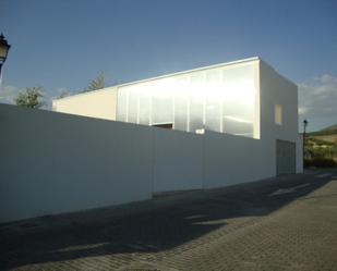 Vista exterior de Casa o xalet en venda en Pulianas amb Piscina