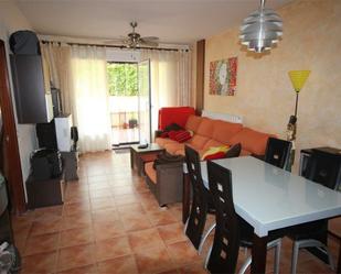 Sala d'estar de Apartament en venda en Cuzcurrita de Río Tirón amb Terrassa i Piscina