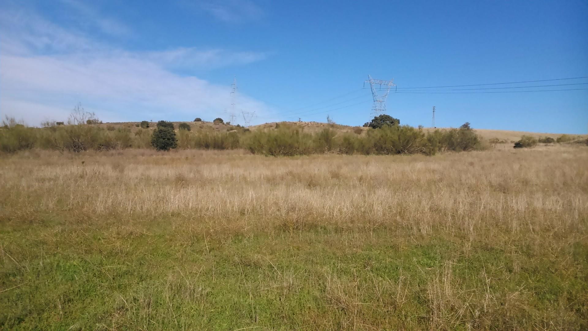 Vista exterior de Terreno en venta en Majadahonda