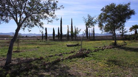 House or chalet for sale in Hacienda del Álamo Golf, Murcia - image 4 Photo 4 of House or chalet for sale in Hacienda del Álamo Golf, Murcia