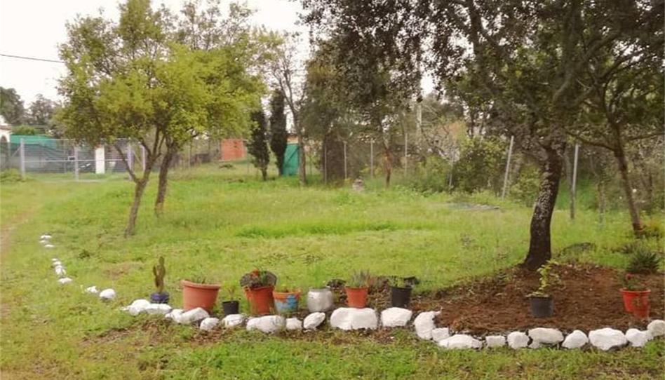 Finca rústica en venda a Carretera Almadén, Castilblanco de los Arroyos, Sevilla - imatge 1 Foto 1 de Finca rústica en venda a Carretera Almadén, Castilblanco de los Arroyos, Sevilla