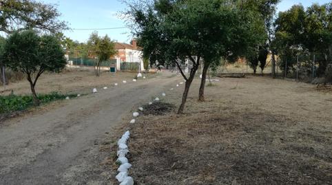 Finca rústica en venda a Carretera Almadén, Castilblanco de los Arroyos, Sevilla - imatge 3 Foto 3 de Finca rústica en venda a Carretera Almadén, Castilblanco de los Arroyos, Sevilla