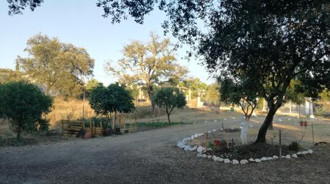 Finca rústica en venda a Carretera Almadén, Castilblanco de los Arroyos, Sevilla - imatge 4 Foto 4 de Finca rústica en venda a Carretera Almadén, Castilblanco de los Arroyos, Sevilla