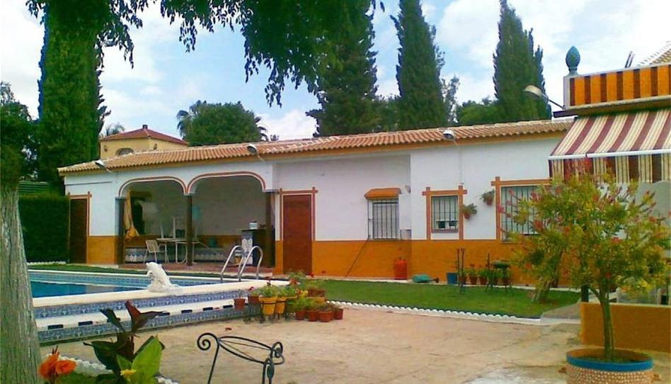 Casa o xalet de lloguer a Camí Camino las Cuadras el Vidiriero, 166, Aznalcázar, Sevilla - imatge 1 Foto 1 de Casa o xalet de lloguer a Camí Camino las Cuadras el Vidiriero, 166, Aznalcázar, Sevilla