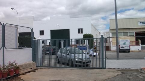 Planta baixa en venda a Ronda, Málaga - imatge 5 Foto 5 de Planta baixa en venda a Ronda, Málaga