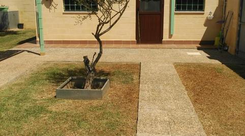 Photo 4 of Apartment to rent in Conil, Cádiz