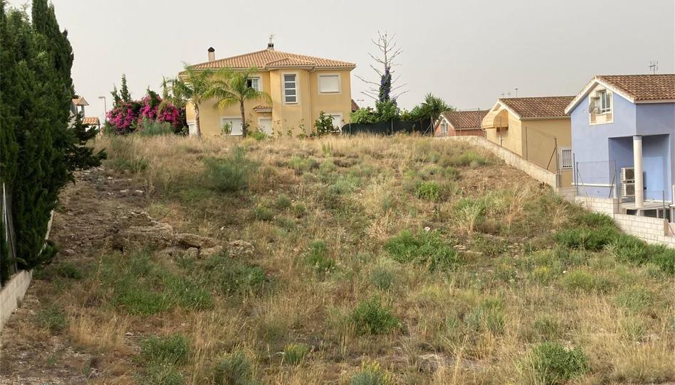 Constructible Land for sale in Calle Contraparada, 7, Altorreal - El Chorrico, Murcia - image 1 Photo 1 of Constructible Land for sale in Calle Contraparada, 7, Altorreal - El Chorrico, Murcia