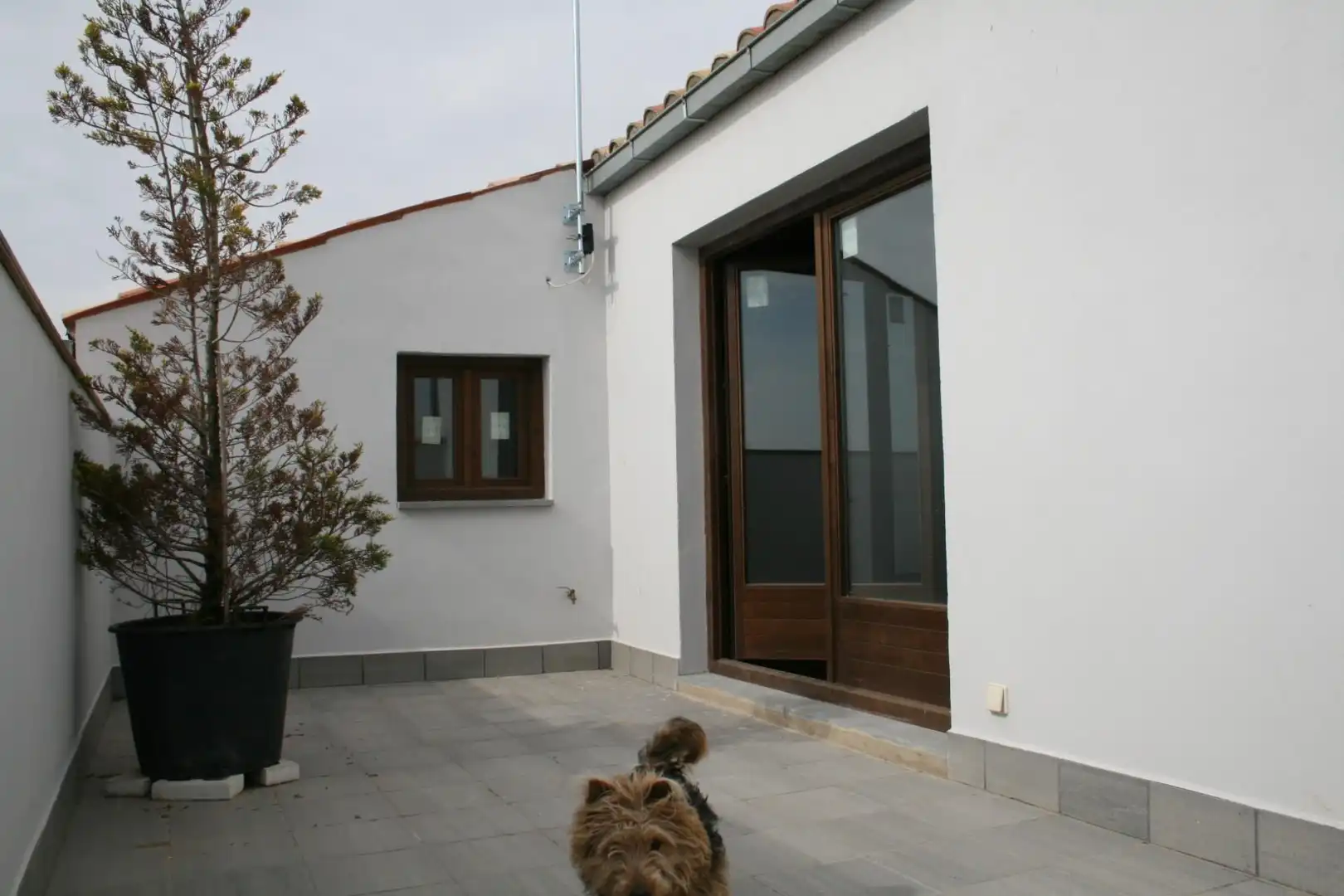 Casa o xalet en venda a Carrer Dalt, 27, Sant Ramon Terrassa de Casa o xalet en venda en Sant Ramon amb Terrassa i Balcó