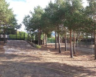 Land for sale in Lozoya