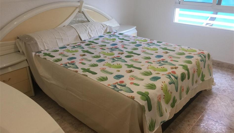 Pis de lloguer a Calle del Rosario, 60, El Cabanyal - El Canyamelar, Valencia - imatge 1 Foto 1 de Pis de lloguer a Calle del Rosario, 60, El Cabanyal - El Canyamelar, Valencia