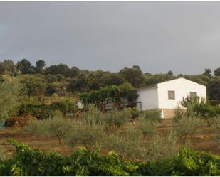 Garden of Land for sale in Talaván