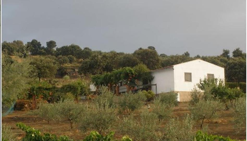 Foto 1 de Terreny en venda a Avenida de Hinojal, 24, Talaván, Cáceres