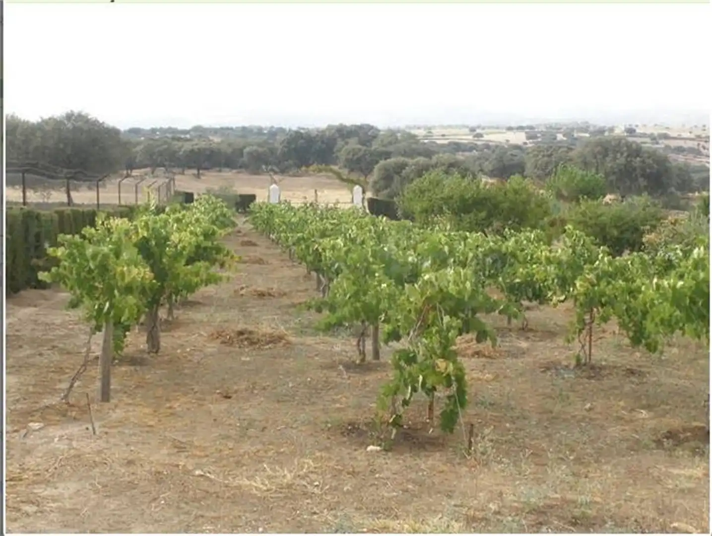 Land for sale in Avenida de Hinojal, 24, Talaván Land for sale in Talaván
