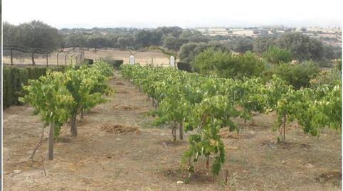 Foto 2 de Terreny en venda a Avenida de Hinojal, 24, Talaván, Cáceres