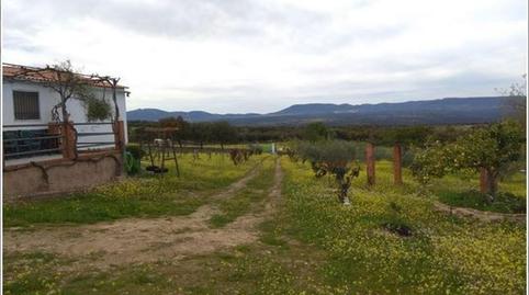 Foto 4 de Terreny en venda a Avenida de Hinojal, 24, Talaván, Cáceres