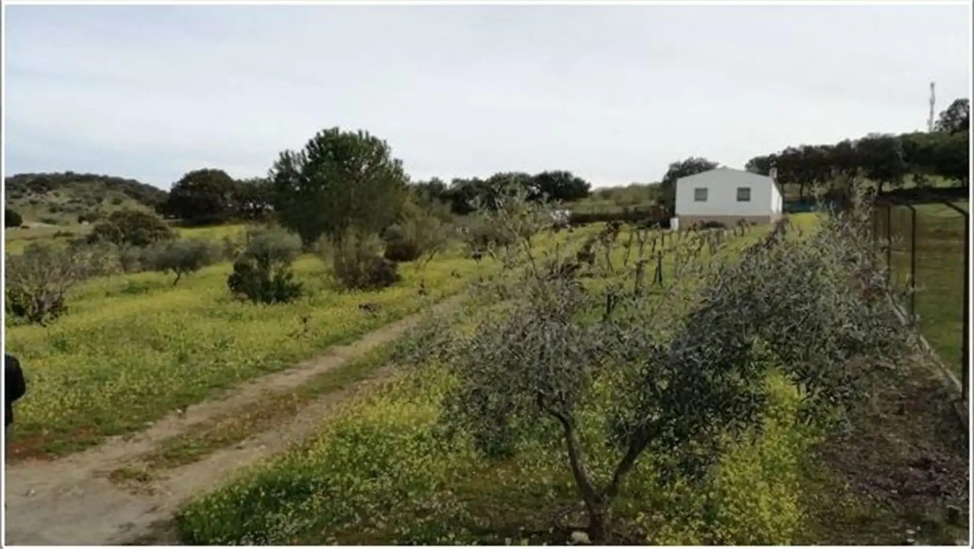 Land for sale in Avenida de Hinojal, 24, Talaván Land for sale in Talaván