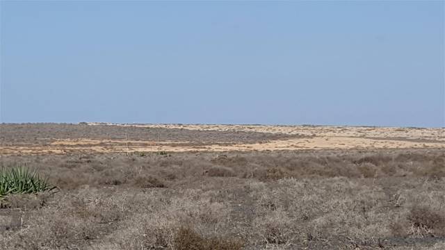 Terreno en Venta en La Oliva pueblo