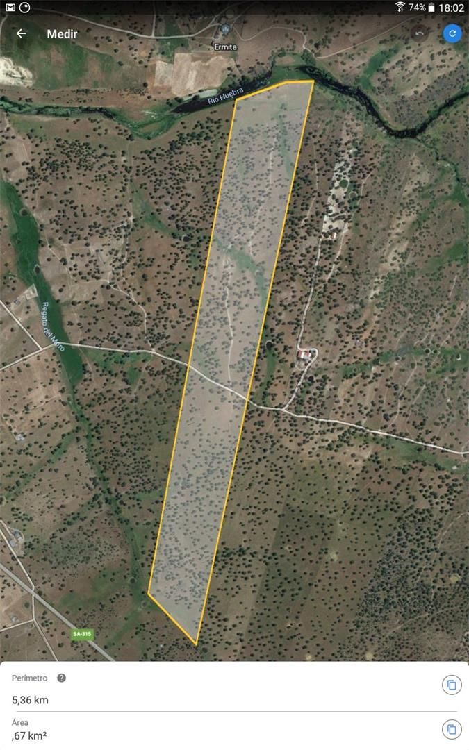 Terreno en venta en SA-305, Buenamadre
