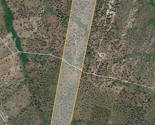 Land for sale in Buenamadre