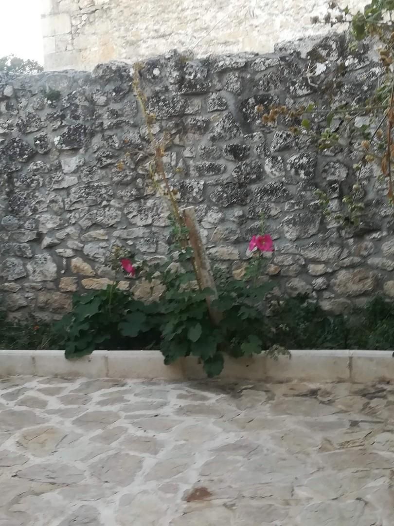 Jardí de Pis en venda en Valle de Manzanedo