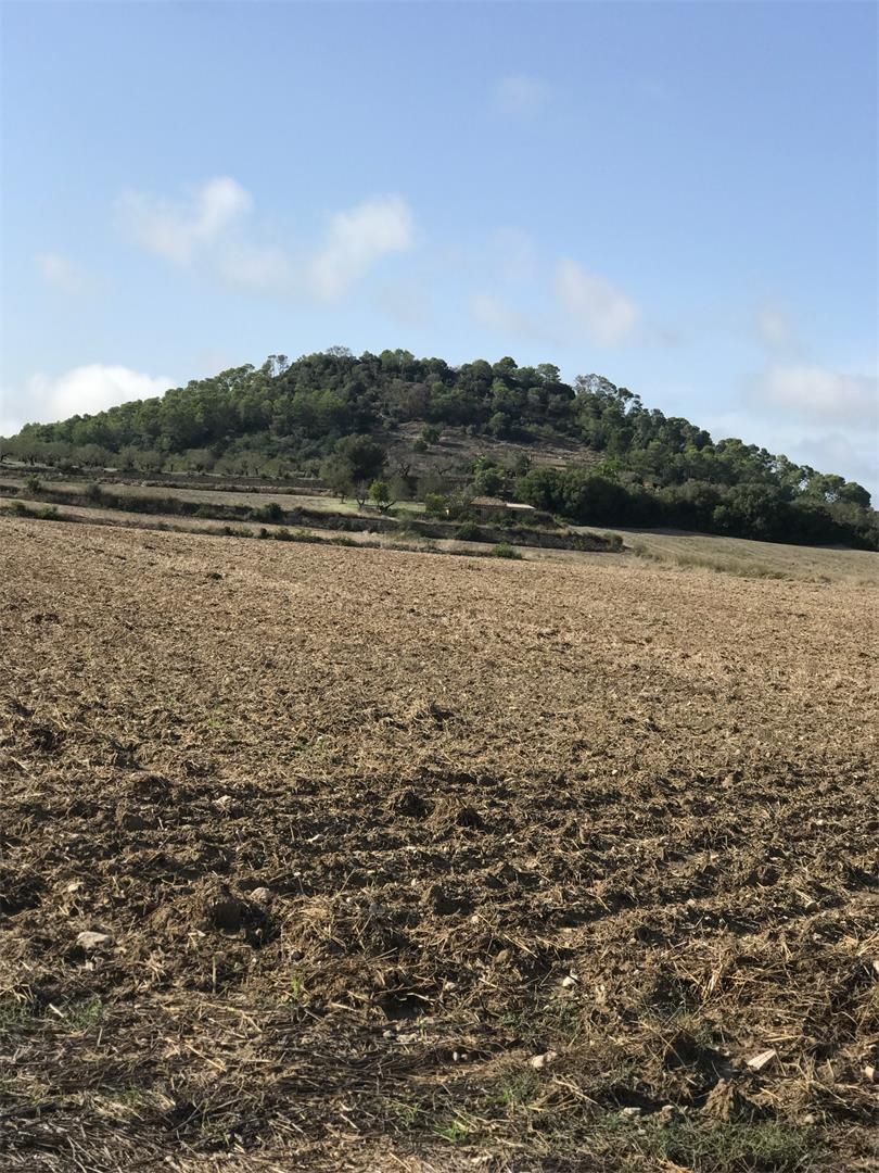 Urbanitzable en venda en Sineu